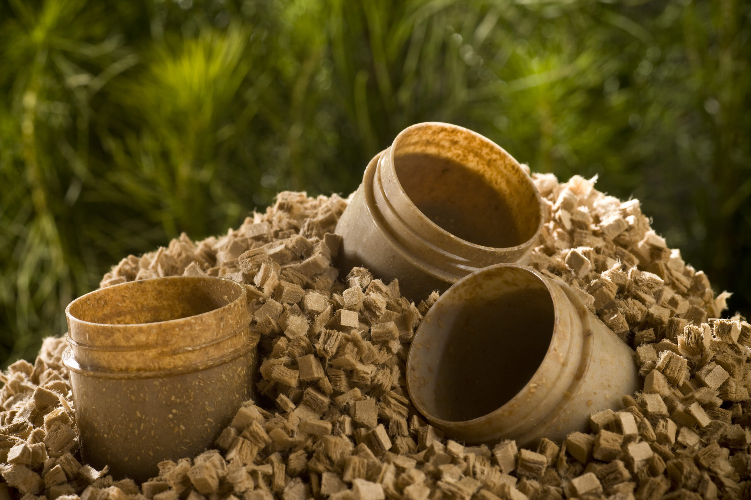 Woodfibre Dice