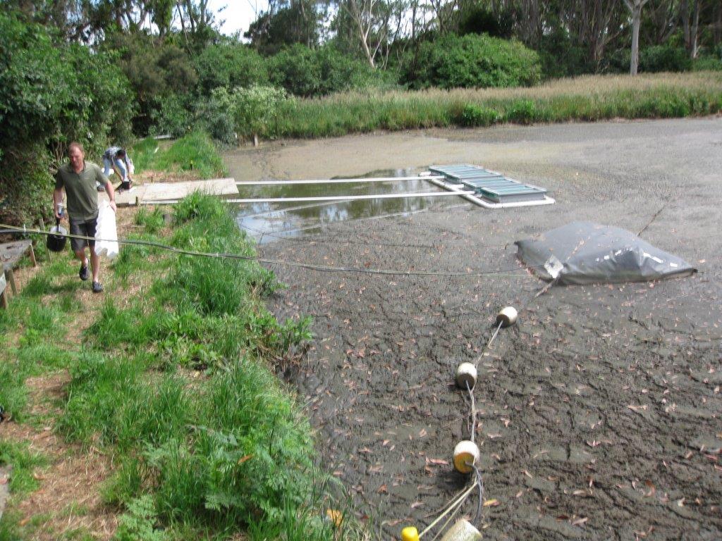 The original column biofilter (partially obscured by Dr Adrian Walcroft, one of the biofilter development team members) and floating biofilters undergoing small scale testing in Palmerston North on Massey University’s dairy No.4 effluent pond  