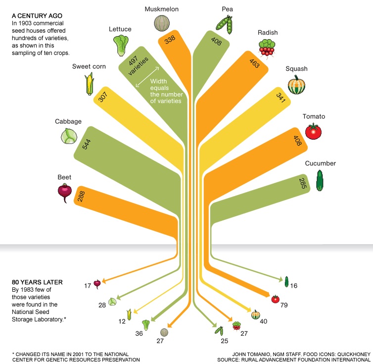 Carli_Davis-food-variety-tree-754_copy