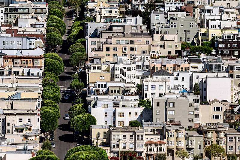 urban_trees