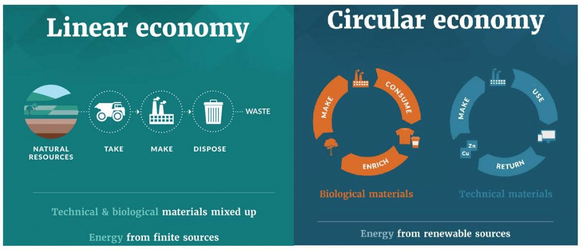 The Circular Economy