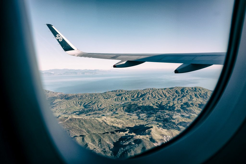 Air New Zealand Wing