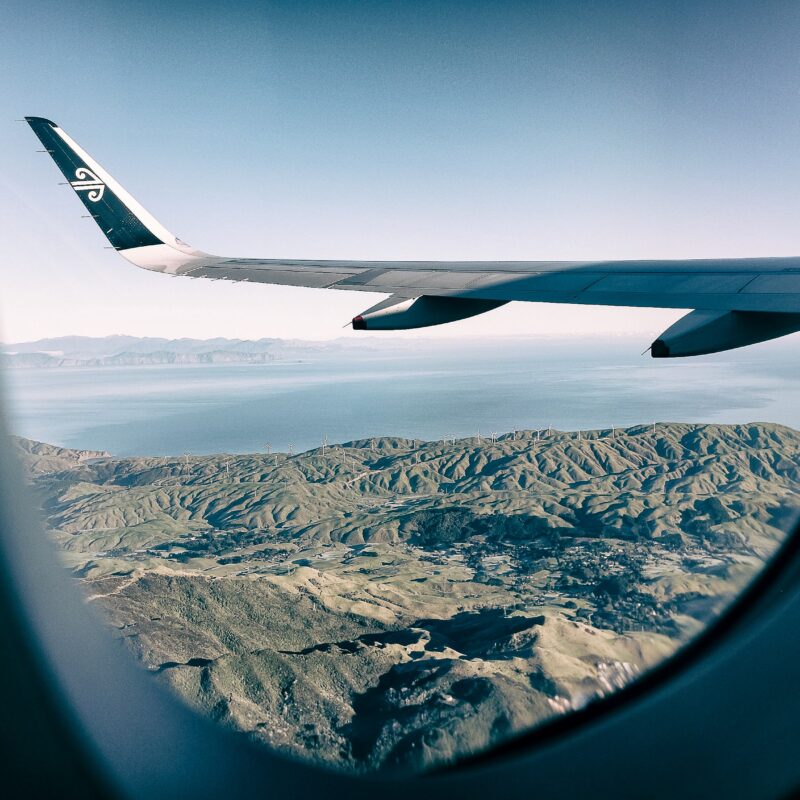 Air New Zealand Wing