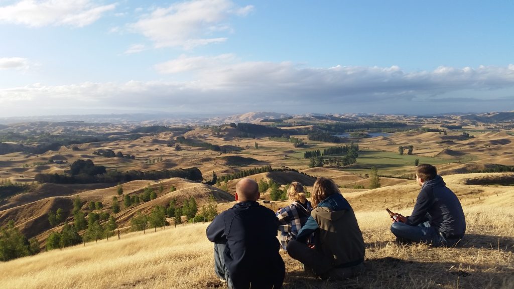 The good, the bad, and the opportunity of regenerative farming in NZ 6