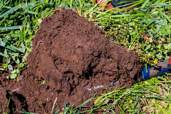 Building Soil Health with Nicole Masters - Pure Advantage