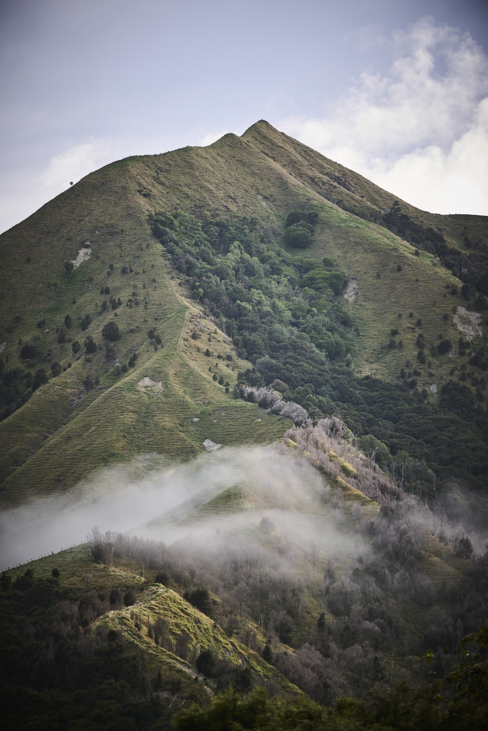 Recloaking Papatūānuku and Think Like A Forest: A Case Study in Narrative, Science and System Change